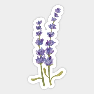 Leave it to Lavender Sticker